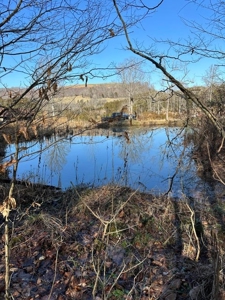 49.5 Acres for sale in Eidson Tennessee - image 23