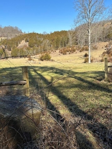 49.5 Acres for sale in Eidson Tennessee - image 42