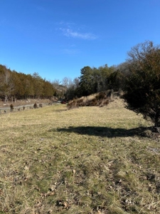 49.5 Acres for sale in Eidson Tennessee - image 7