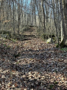 49.5 Acres for sale in Eidson Tennessee - image 28
