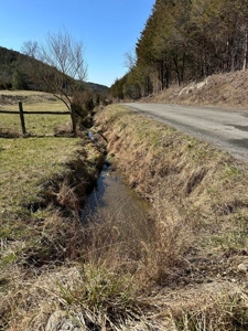 49.5 Acres for sale in Eidson Tennessee - image 2