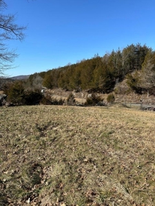 49.5 Acres for sale in Eidson Tennessee - image 21