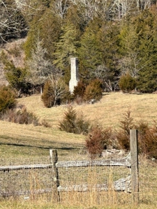 49.5 Acres for sale in Eidson Tennessee - image 8