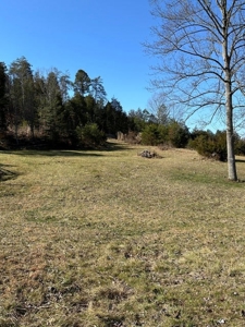 49.5 Acres for sale in Eidson Tennessee - image 44