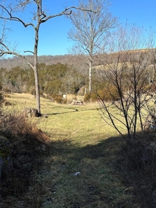 49.5 Acres for sale in Eidson Tennessee - image 46