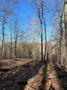 49.5 Acres for sale in Eidson Tennessee - image 33