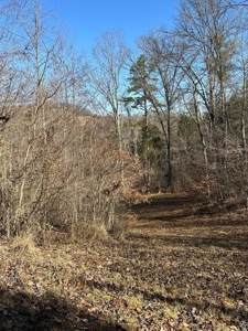49.5 Acres for sale in Eidson Tennessee - image 37