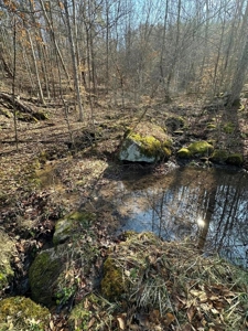 49.5 Acres for sale in Eidson Tennessee - image 13