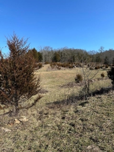 49.5 Acres for sale in Eidson Tennessee - image 16