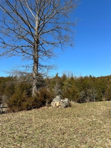 49.5 Acres for sale in Eidson Tennessee - image 19