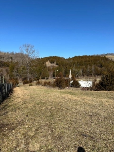 49.5 Acres for sale in Eidson Tennessee - image 22