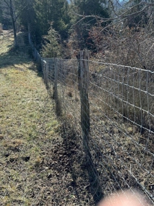 49.5 Acres for sale in Eidson Tennessee - image 14