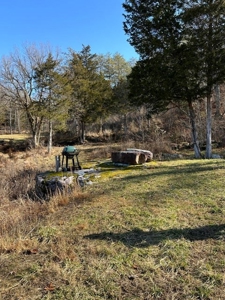 49.5 Acres for sale in Eidson Tennessee - image 47
