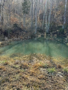 49.5 Acres for sale in Eidson Tennessee - image 48