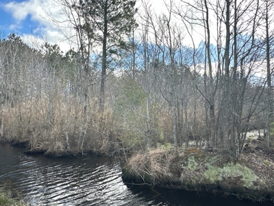 247-Acre Woodland for Sale in NC - Prime Hunting Land - image 20