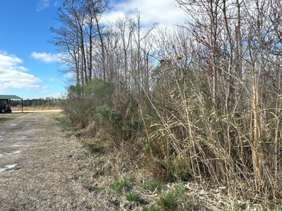 247-Acre Woodland for Sale in NC - Prime Hunting Land - image 18