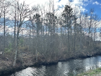247-Acre Woodland for Sale in NC - Prime Hunting Land - image 19