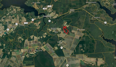 247-Acre Woodland for Sale in NC - Prime Hunting Land - image 23