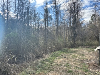 247-Acre Woodland for Sale in NC - Prime Hunting Land - image 13