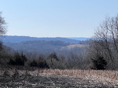 Log Home & 40 Acres For Sale In Nw Missouri - image 32