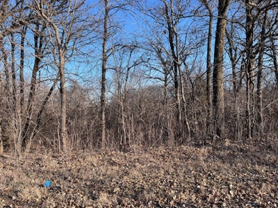 Log Home & 40 Acres For Sale In Nw Missouri - image 2