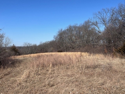 Log Home & 40 Acres For Sale In Nw Missouri - image 31