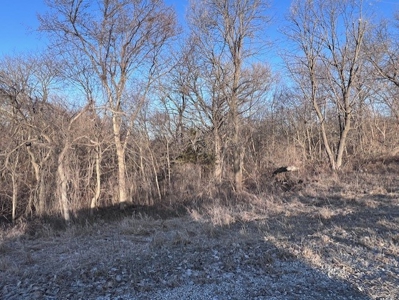 Log Home & 40 Acres For Sale In Nw Missouri - image 8