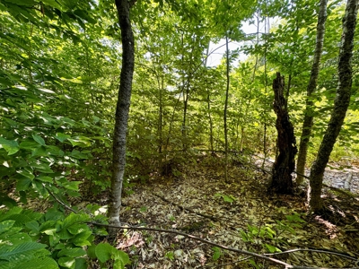 Big Acres with a Pond in Maine - image 10