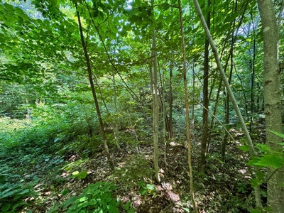 Big Acres with a Pond in Maine - image 18