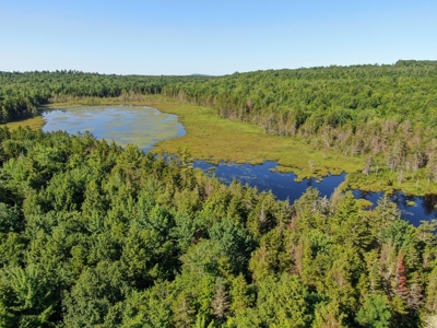 Big Acres with a Pond in Maine - image 6