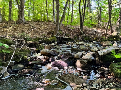 Big Acres with a Pond in Maine - image 7