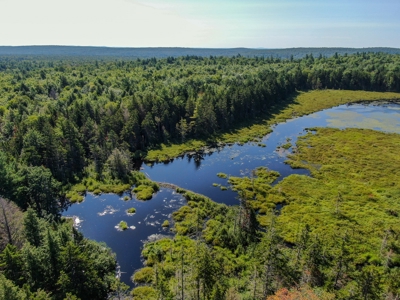 Big Acres with a Pond in Maine - image 5