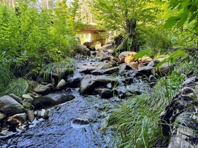 Big Acres with a Pond in Maine - image 8