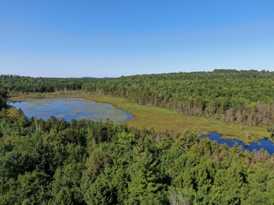 Big Acres with a Pond in Maine - image 2