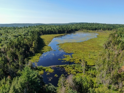 Big Acres with a Pond in Maine - image 1