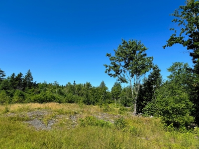 Big Acres with a Pond in Maine - image 16