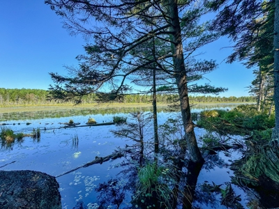 Big Acres with a Pond in Maine - image 22