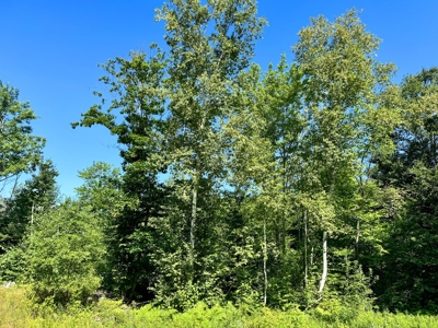 Big Acres with a Pond in Maine - image 14