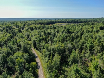 Big Acres with a Pond in Maine - image 4