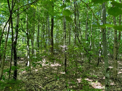 Big Acres with a Pond in Maine - image 12