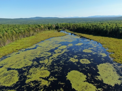 Big Acres with a Pond in Maine - image 3