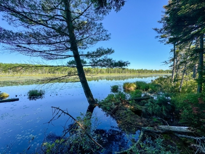 Big Acres with a Pond in Maine - image 23