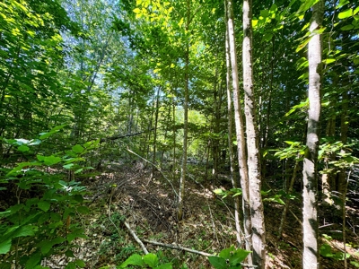 Big Acres with a Pond in Maine - image 17