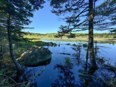 Big Acres with a Pond in Maine - image 21