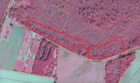 275-Acre Timberland for Sale in Tyrrell County, NC - image 12
