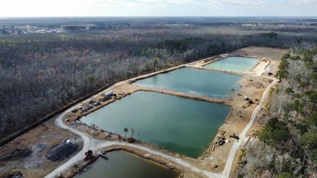 275-Acre Timberland for Sale in Tyrrell County, NC - image 7