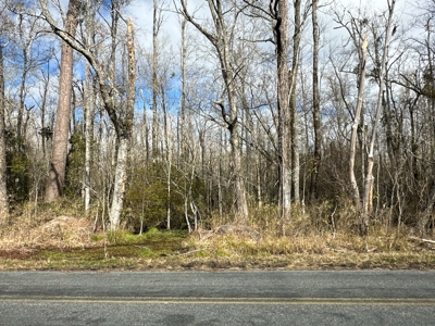 275-Acre Timberland for Sale in Tyrrell County, NC - image 9