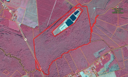 275-Acre Timberland for Sale in Tyrrell County, NC - image 15