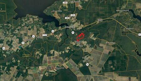 275-Acre Timberland for Sale in Tyrrell County, NC - image 17