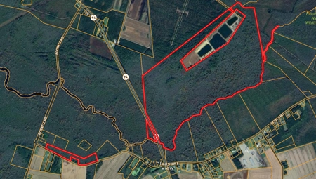 275-Acre Timberland for Sale in Tyrrell County, NC - image 1